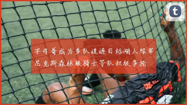 字母哥成为多队追逐目标湖人绿军尼克斯森林狼骑士等队积极争抢